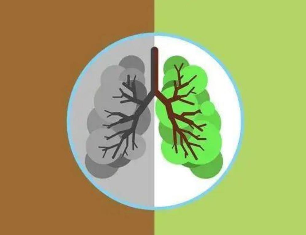 过敏性鼻炎的中医治疗方法有哪些,变应性鼻炎中医疗法