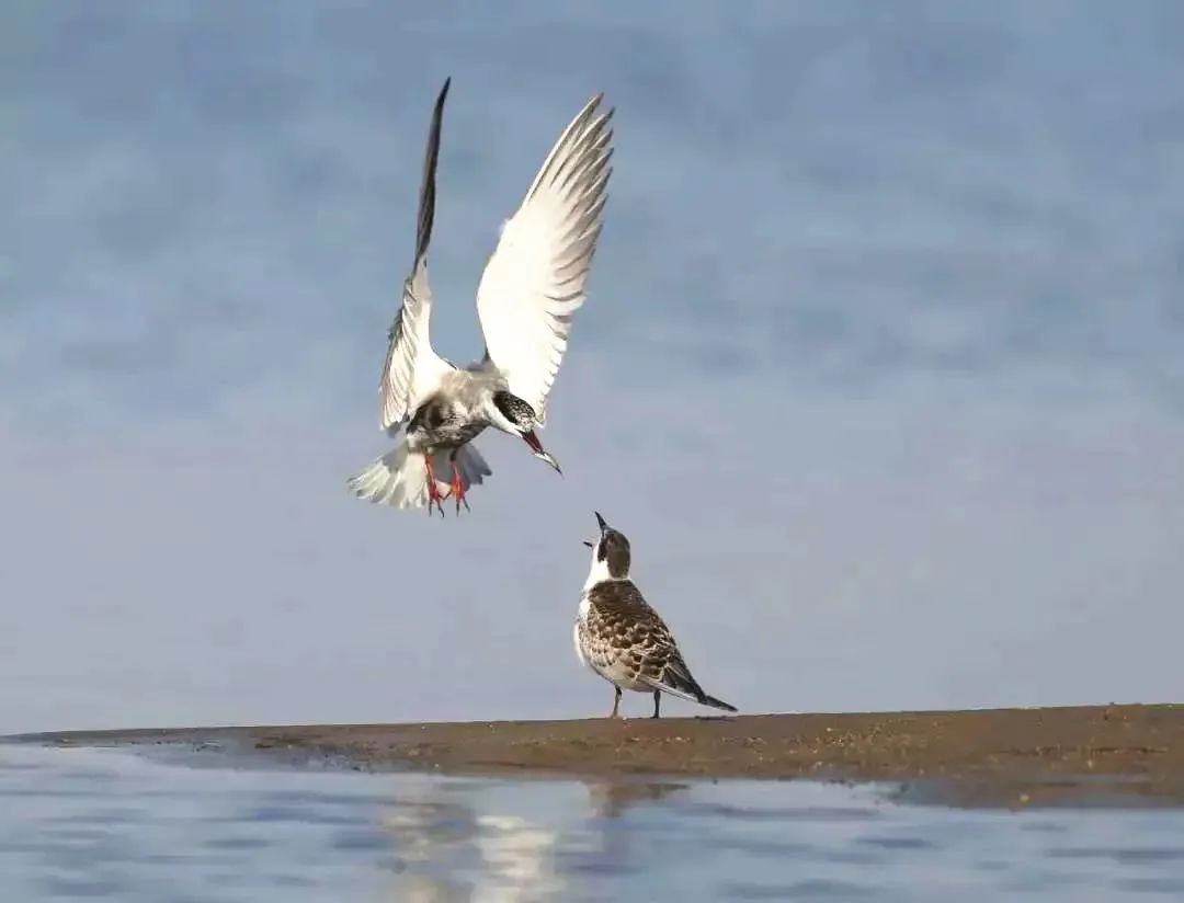 鏃跺厜浜ら敊鏈楄,鏃跺厜浜ょ粐