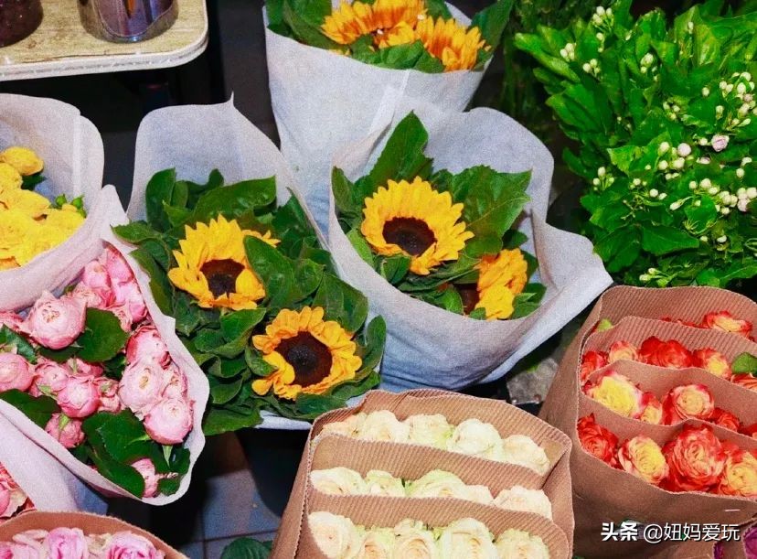 济南市市中区花鸟鱼虫市场在哪里,济南凤凰山花鸟鱼虫市场