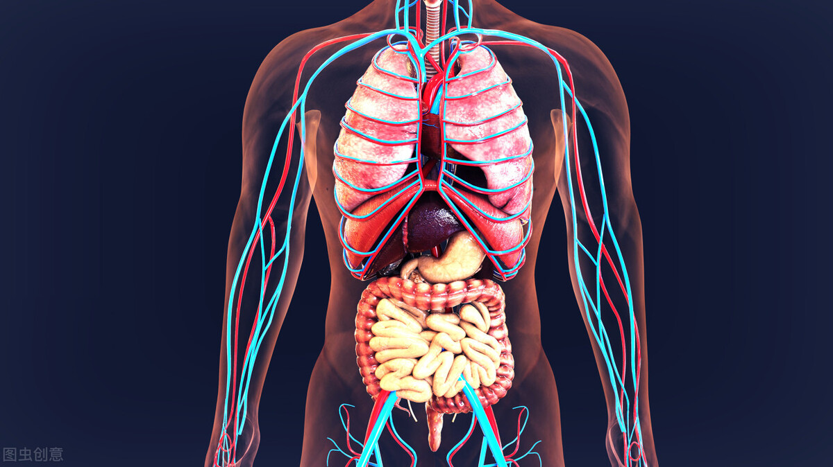 儿童过敏性鼻炎，就是肺脾气虚，中医名方，健脾益气，挖掉病根