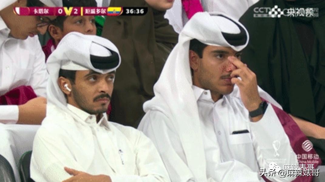 金晨模仿卡塔尔小王子自拍,金晨模仿卡塔尔王子自拍引热议