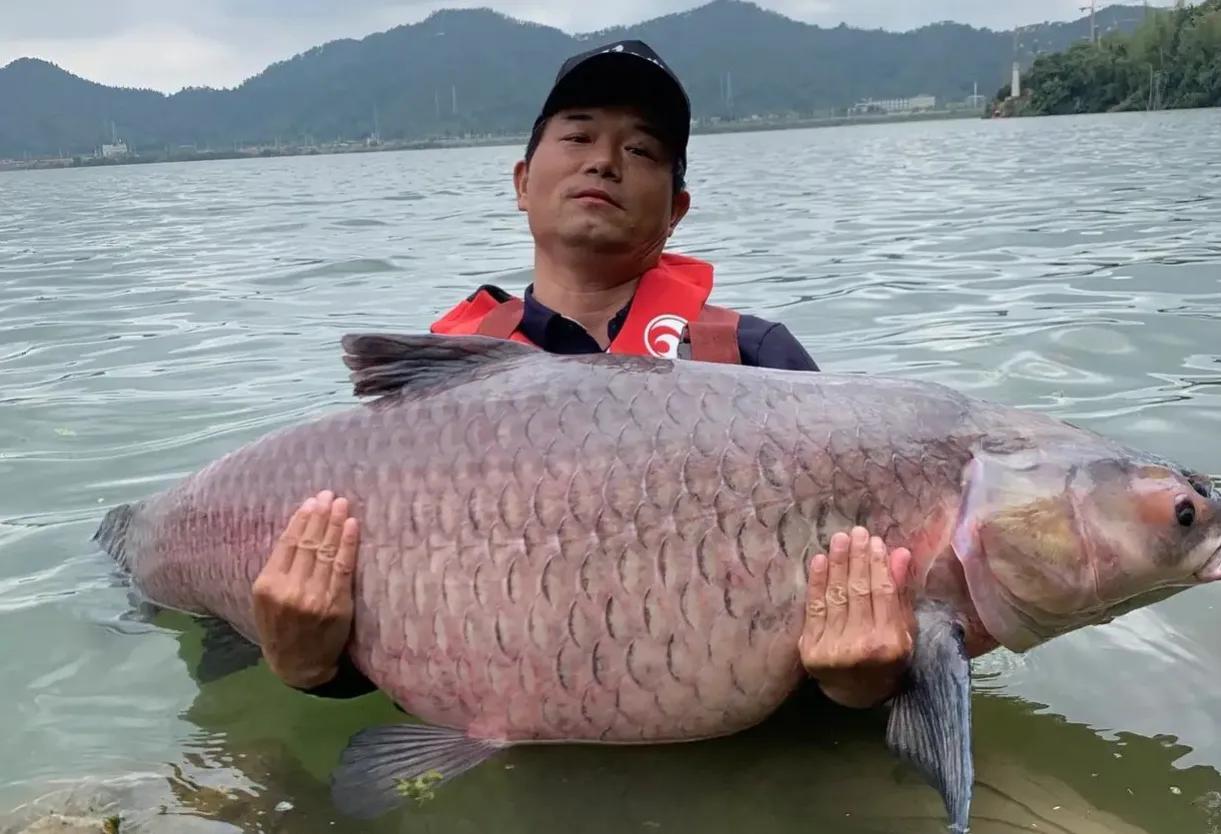 邓刚直播说渔具,邓刚直播聊渔具行业