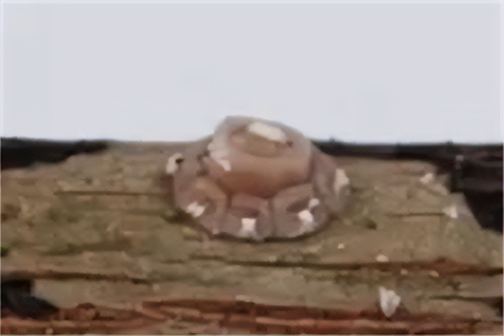 进口水果检疫需要哪些材料,进口农产品检疫规定