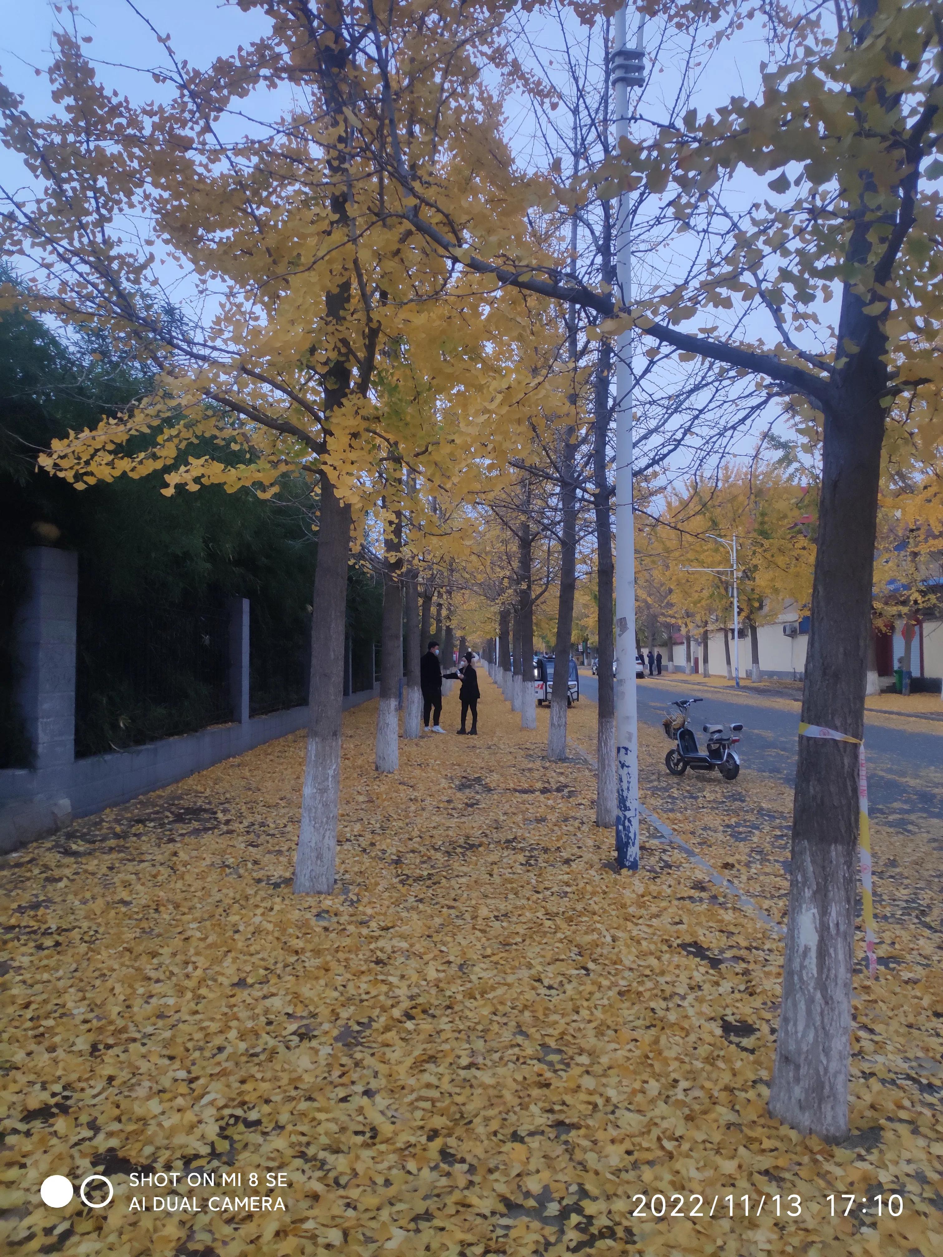 解封帖,解封记录怎么查