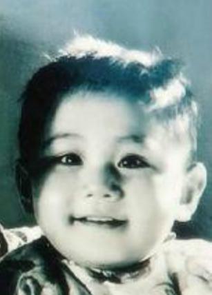 刘烨和谢娜现在结婚了吗,刘烨老婆安娜谢娜