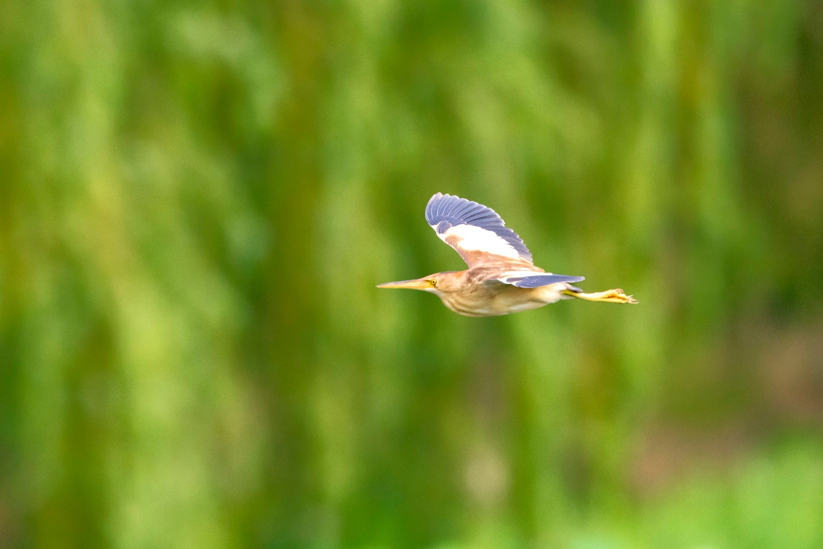 佳能eosr7目前值得买吗,佳能eosr7优缺点
