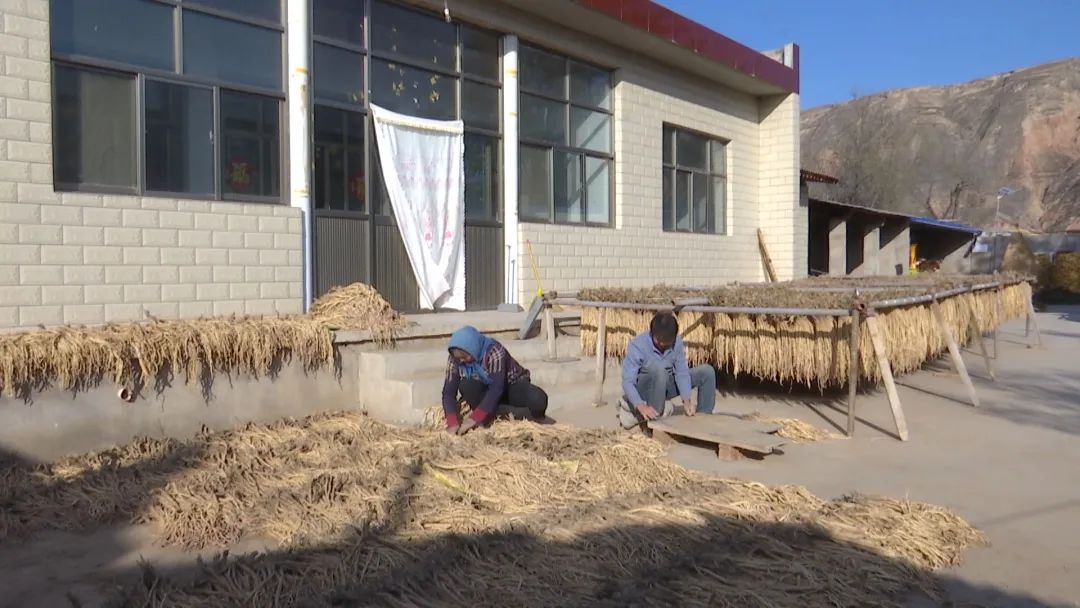 乡村振兴丰收之路,乡村振兴共同富裕展望