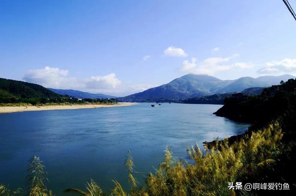 神秘“怪鱼”东方墨头鱼重新现身，曾被怀疑已经绝迹，网友：喜事