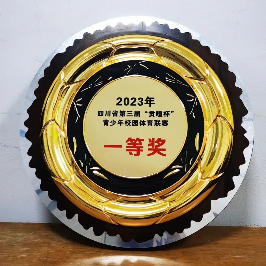 绵阳足球特色学校贡嘎杯,贡嘎杯足球小学组绵阳