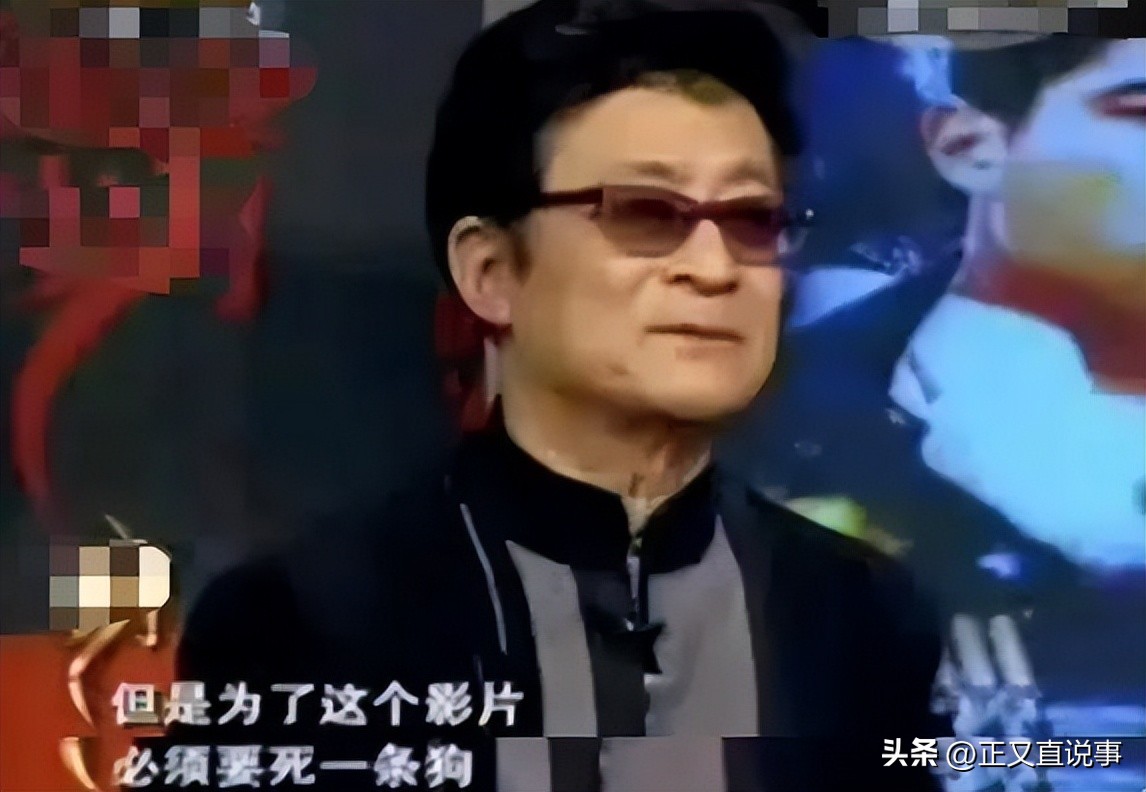 立功警犬被伤,功勋犬拍戏被炸死驯养员哭出血