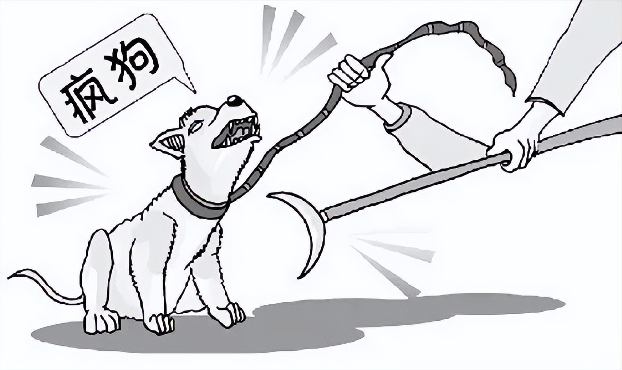 你来头条是为了赚钱还是来玩,你接触头条是为了赚钱还是什么