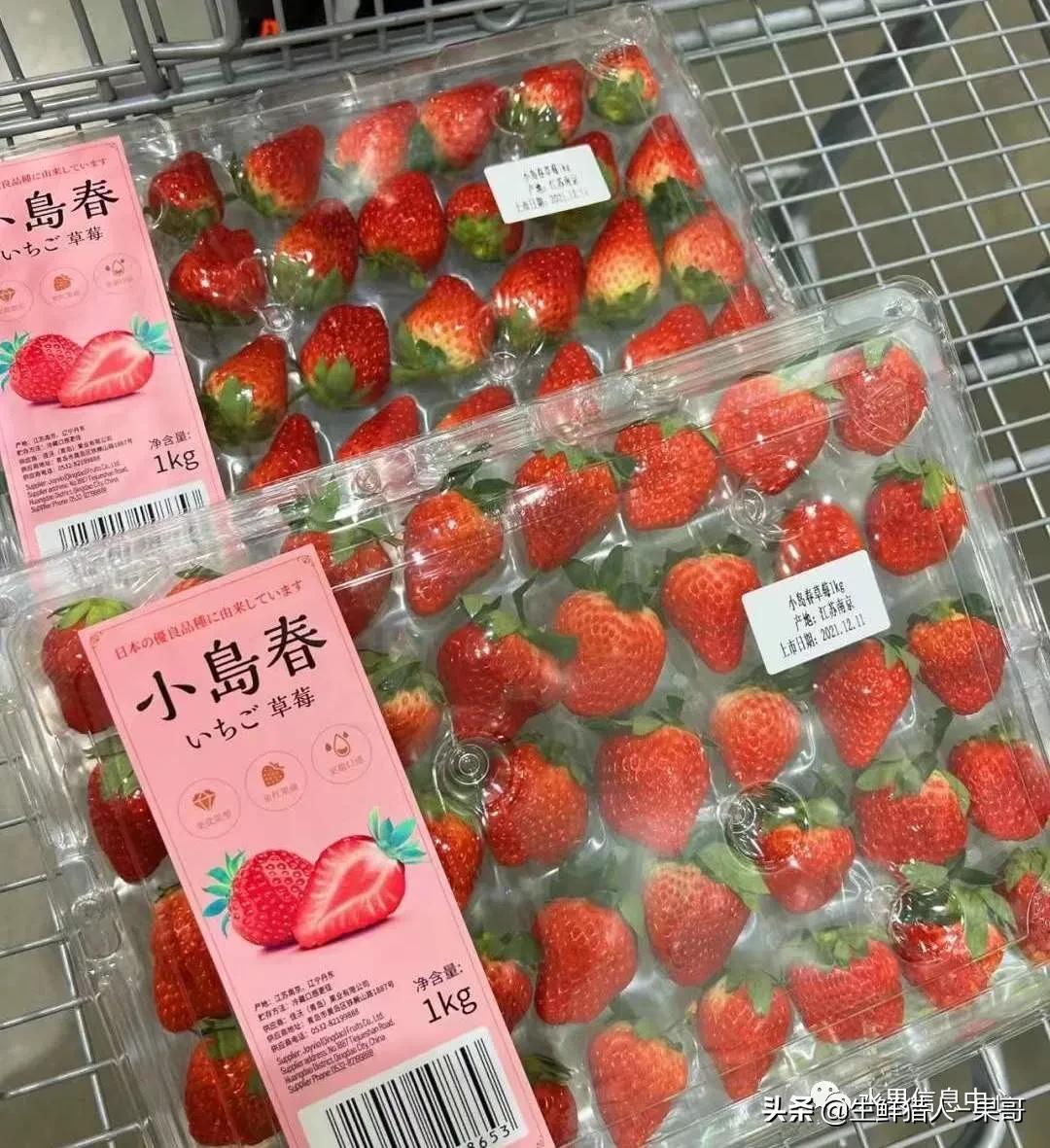 在水果中浆果是分哪几种,水果分类浆果