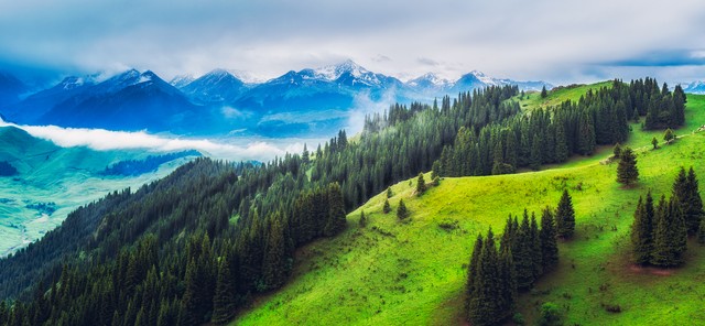 新疆新赛季男篮最新变化如何,新疆男篮新赛季出征仪式完成视频