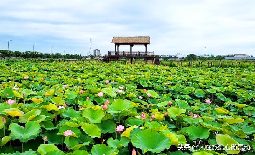 世界这么大去哪看比较好,宁波江北区景点