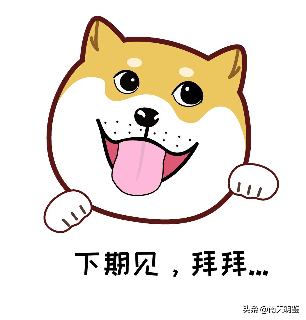 南天实录第82期：交规不能“临时抱佛脚”究竟谁闯了红灯