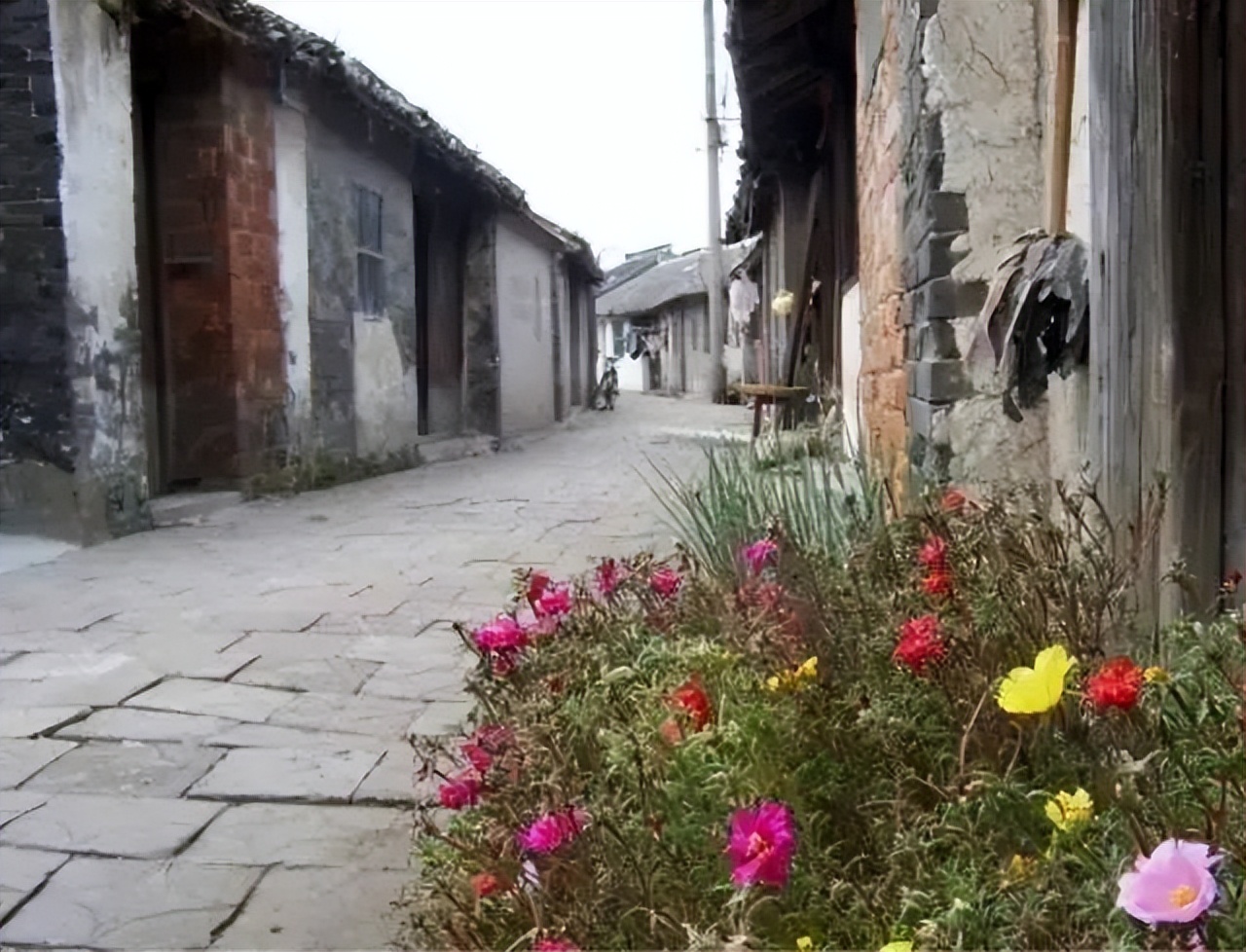 如皋水乡古镇,南通通州区最美三大古镇