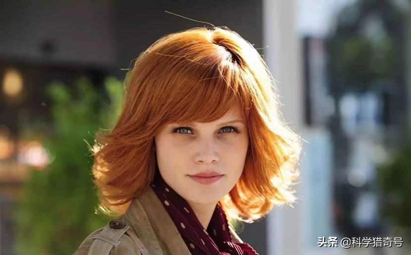 荷兰美女来上海,荷兰女人来中国的感受