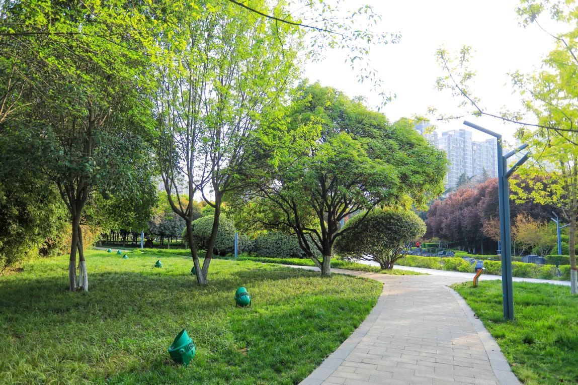 玩耍是孩子长大的方式,玩耍是小孩子的工作