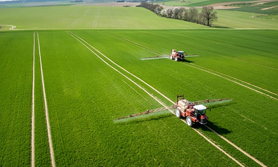 如何通过政策支持农业可持续发展,农业可持续性发展的理论与实践