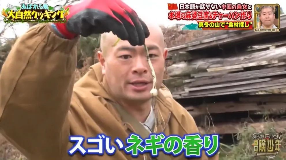 日本男星被迫和中国美女一起“荒野求生”？网友都笑疯了哈哈哈…