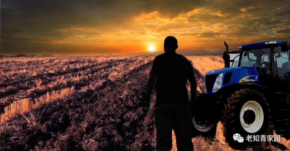 梁晓声知青小说,梁晓声知青全文