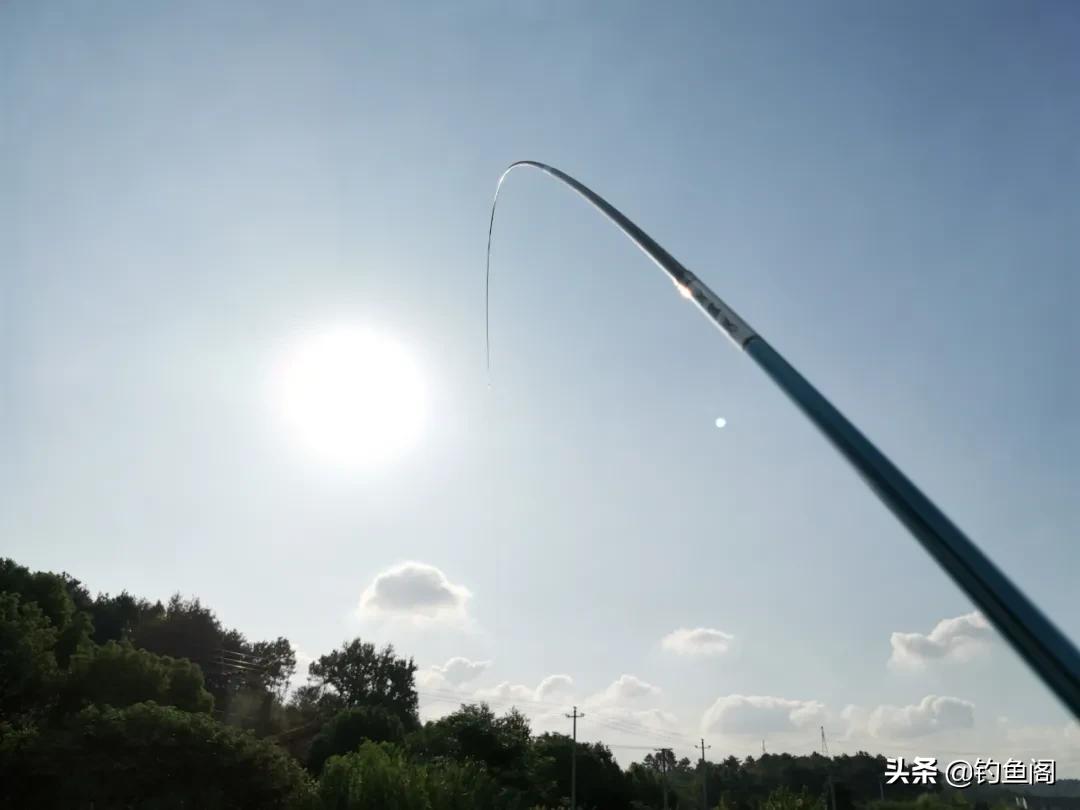 网红鱼竿测评视频,百元网红鱼竿推荐5.4