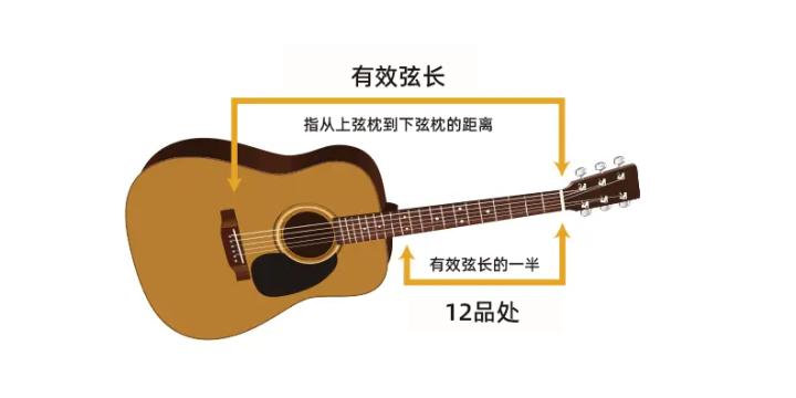 「吉他选购指南」我是吉他小白，哪款民谣吉他值得被推荐？