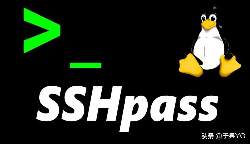 使用ssh远程访问,怎么使用ssh登录云服务器