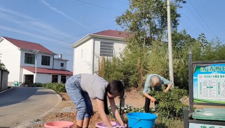 越南女孩19岁嫁到浙江,29岁越南妹子远嫁广西山村