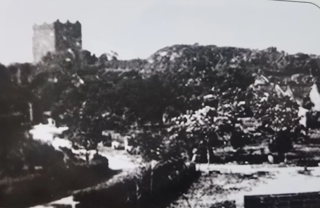 凤山下的红荼薇——记隐蔽战线上的白衣天使萧琼芝同志