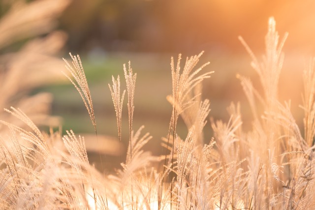 冠绝古今的八字短句,令人一眼惊艳的八字短句