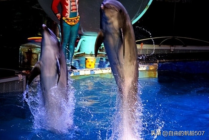 辽宁省大连市沙河口区,辽宁省大连市沙河口区富乐园