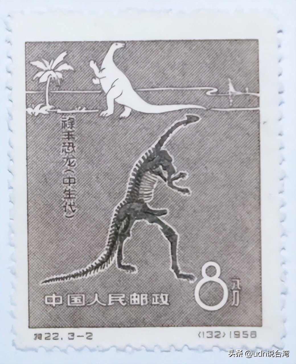 中国云南禄丰恐龙谷遗址,云南禄丰世界恐龙谷的化石