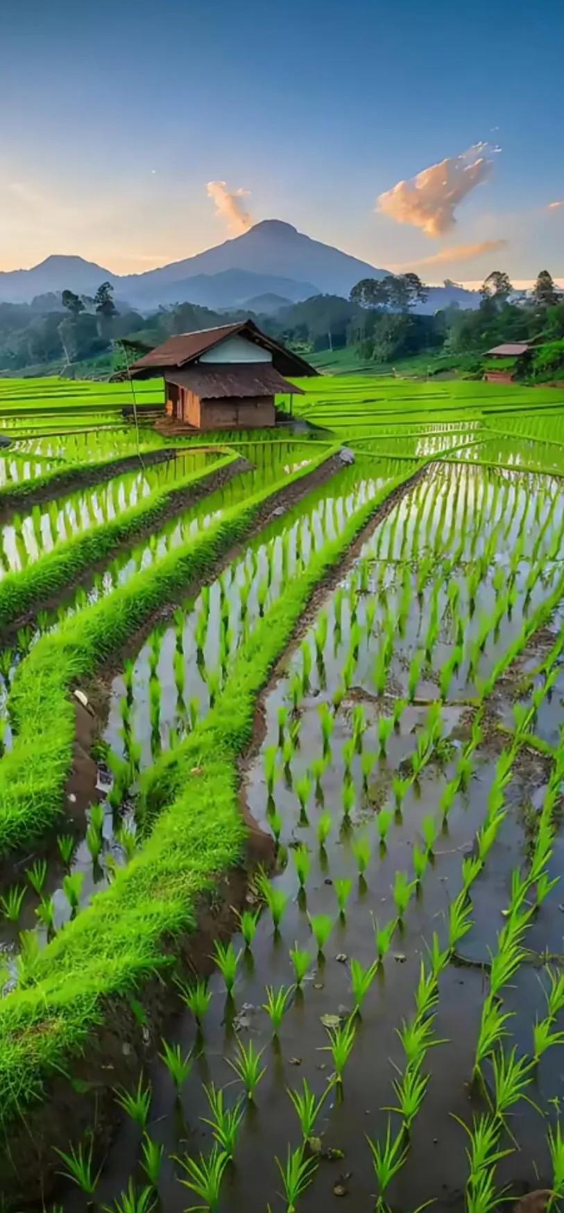 赏田园风光图片,美在深秋田园风光图片