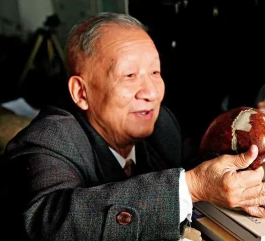 人类的祖先真的是亚当和夏娃吗,人类进化论的化石证据