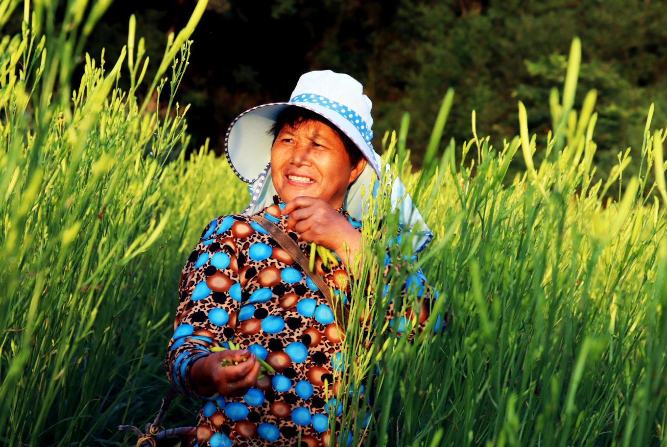 湖南省邵阳市邵东县黄金村,永华村风光