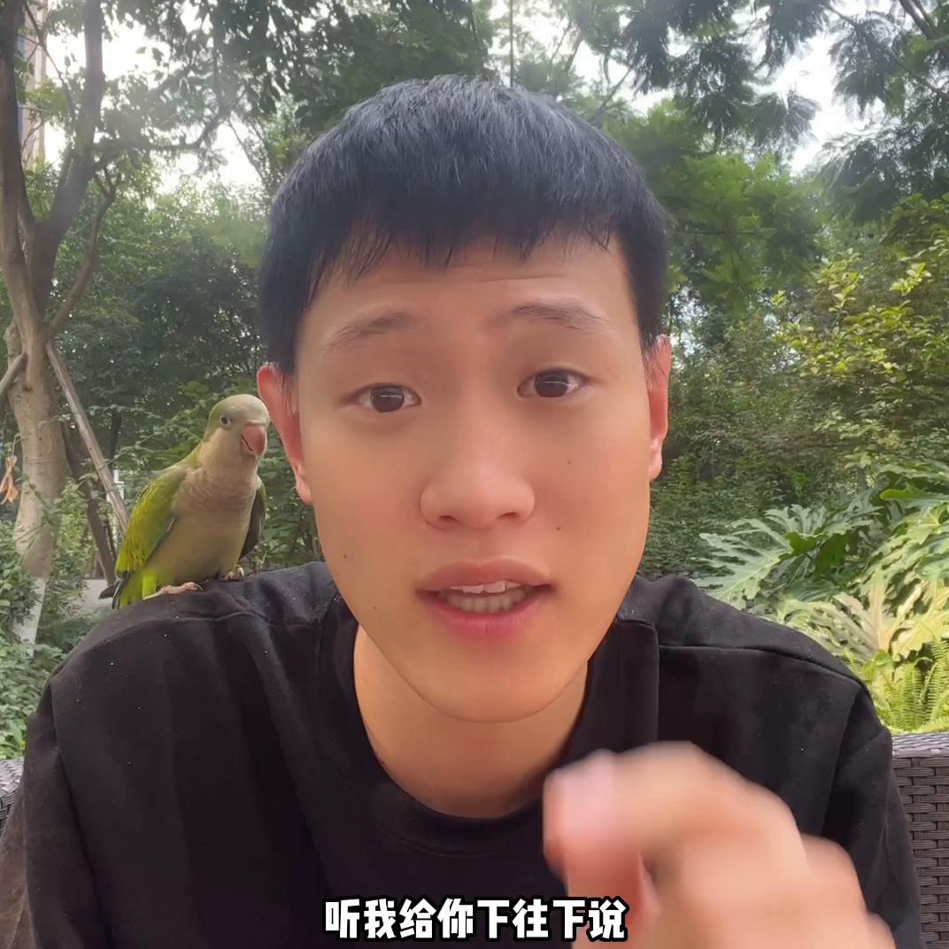 鹦鹉有必要喂电解质吗,鹦鹉喂食电解质幼鸟可以用吗