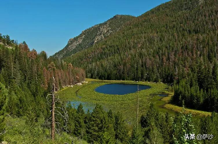 华裔女赌神被害,华裔女赌神在美被杀
