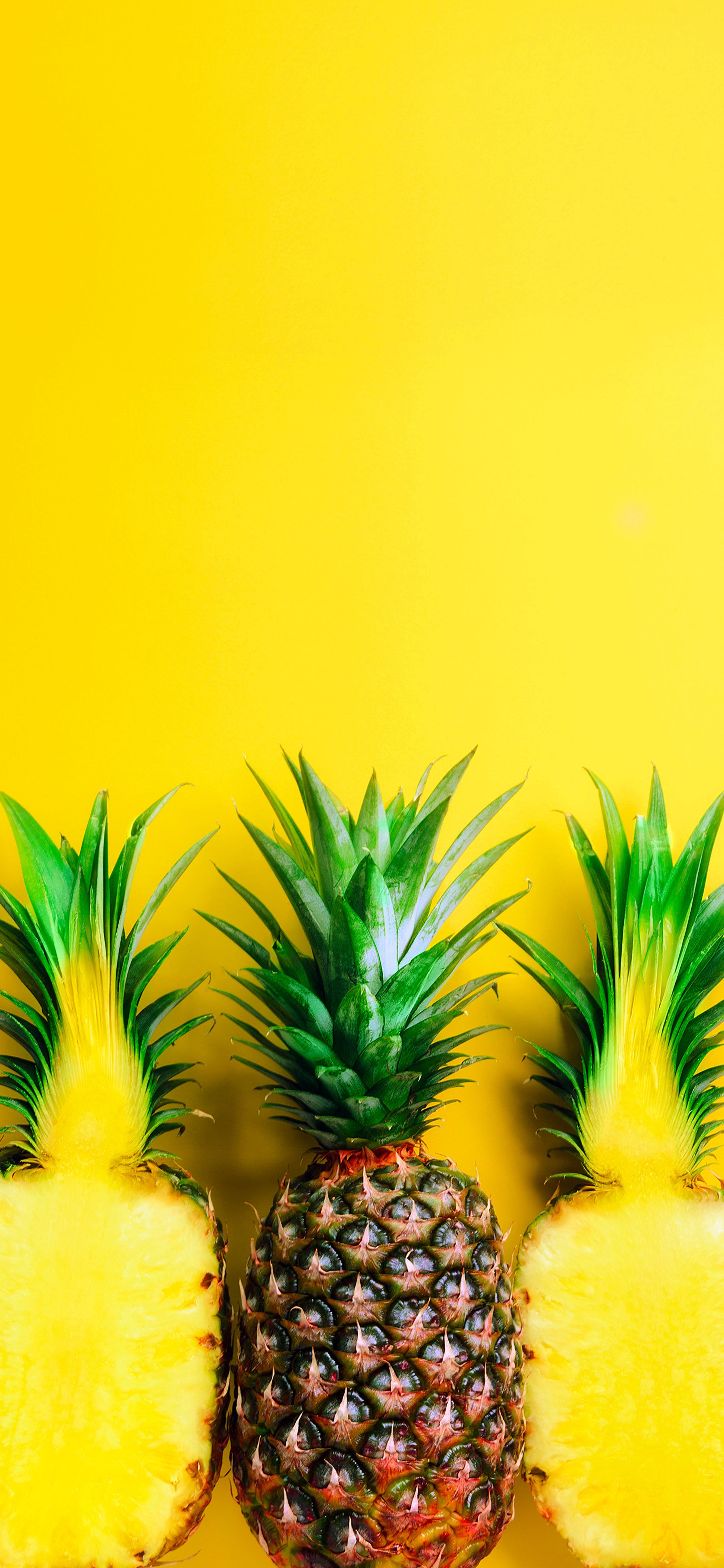 iphone13promax手机壁纸推荐,iphone13promax壁纸动态