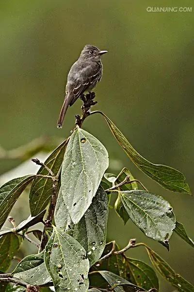 脱霉剂产品种类繁多你买对了吗,脱霉剂怎么区别好与差
