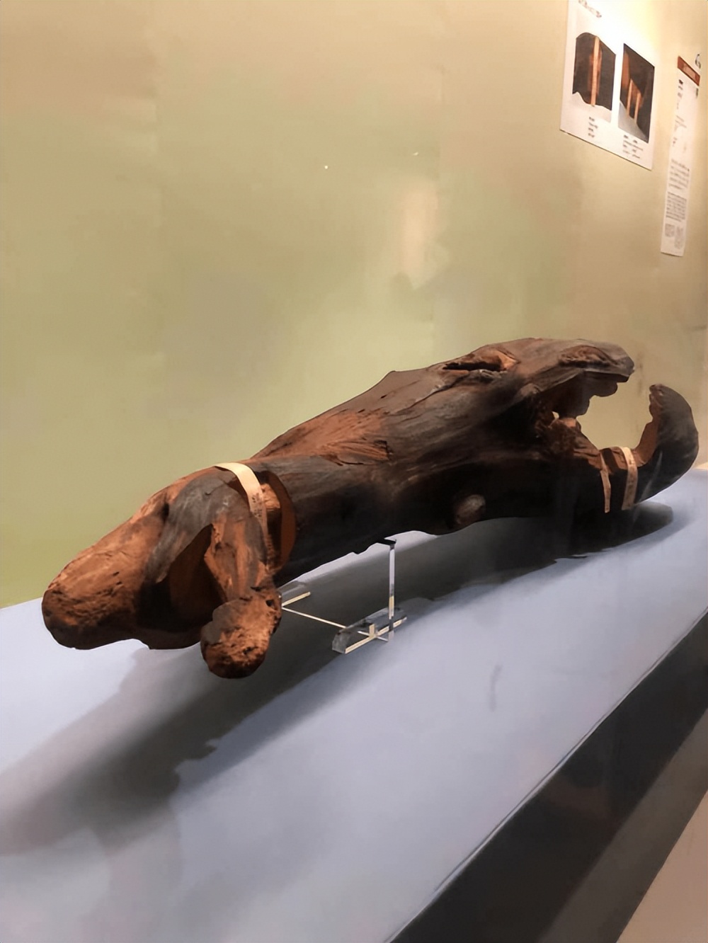 夫妻一夜暴富引怀疑，警方蹲守查获木头鉴定书3200余张