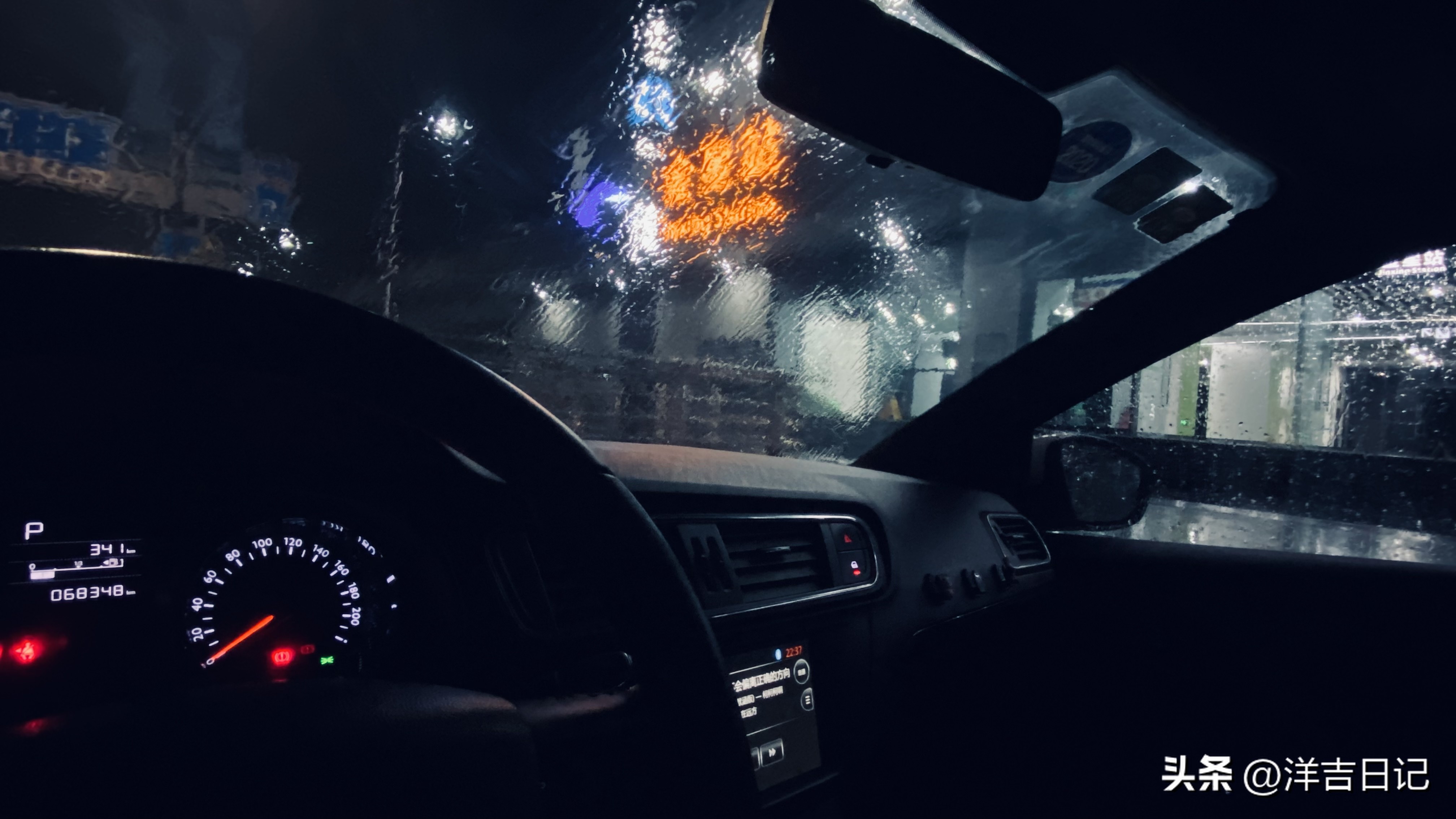 洋吉日记2023.4.28（花的意义？）