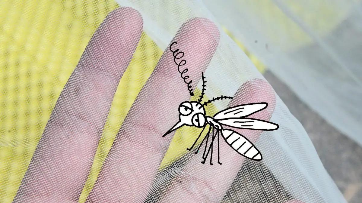 夏天用蚊帐的坏处,冬天可以用蚊帐吗