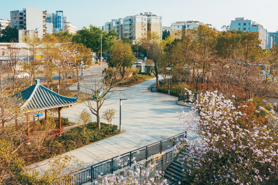 惠州最好的住宅区,惠州绝美风景