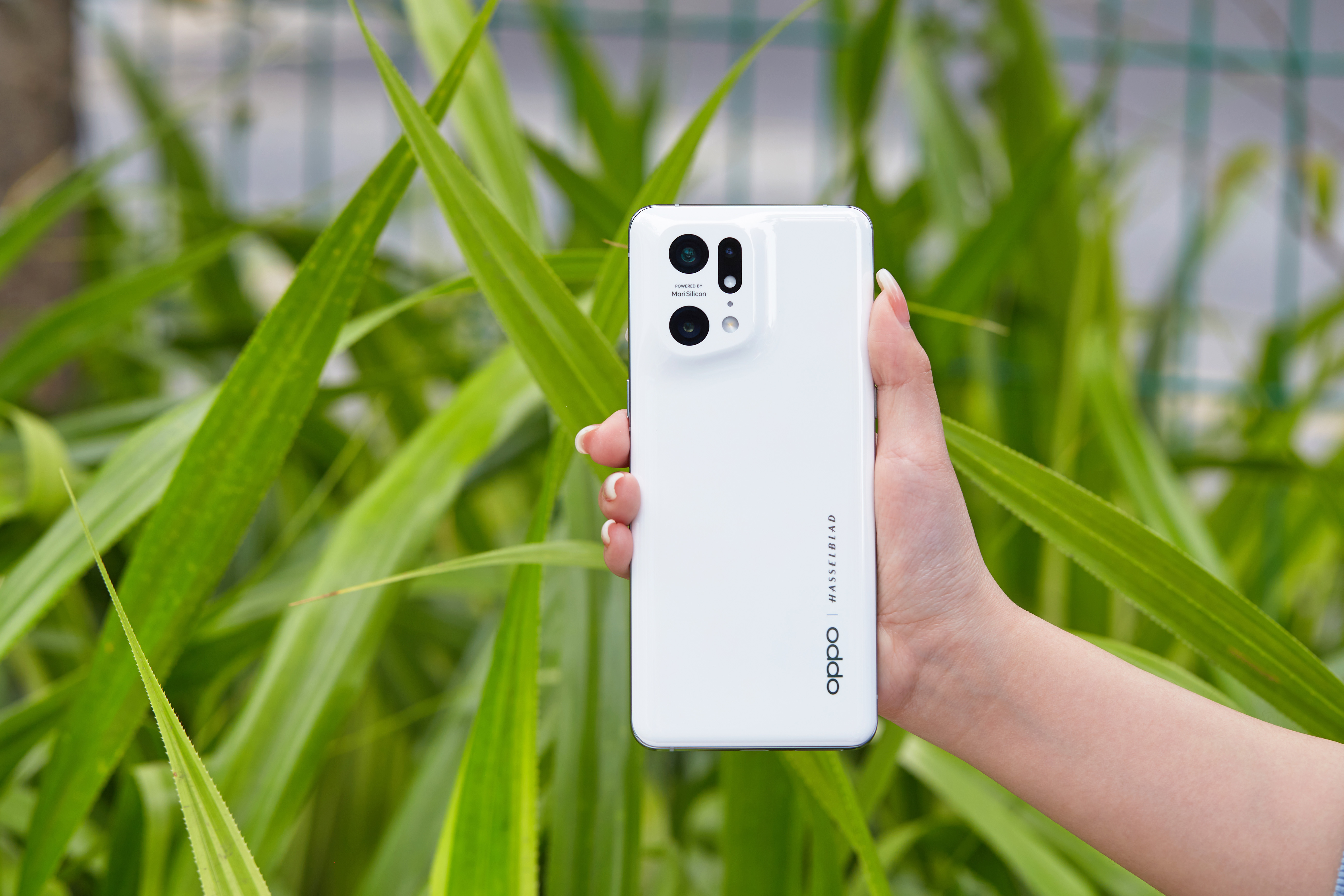 买手机今年买上一年的旗舰值得吗,现在买手机推荐买哪款比较好