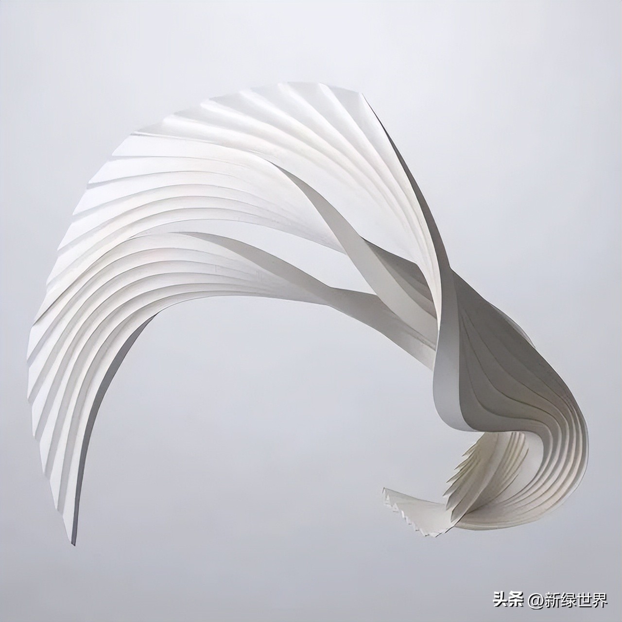 一组纸艺作品,令人惊艳的纸艺作品