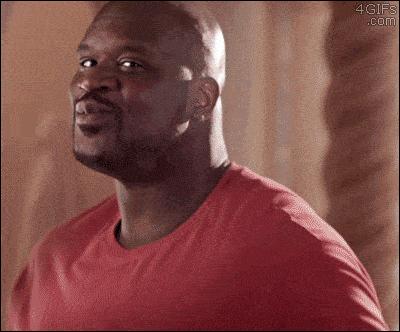 哪种猫比较好养又容易养,建议养的10种猫便宜