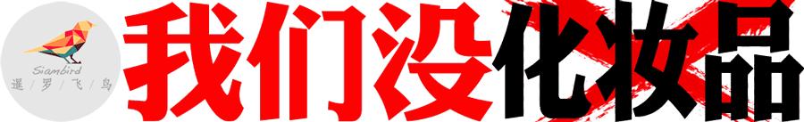 泰国游落地电子签证,泰国60天旅游签证电子签怎么发放