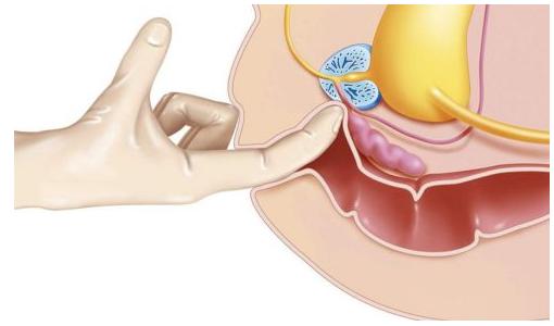 疫情隔离在宿舍运动,疫情隔离在家适合哪些运动