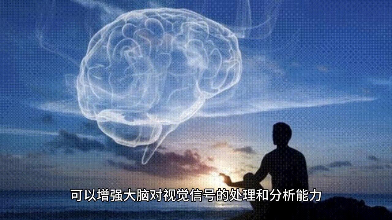 大脑天赋训练方法,五个技巧提升大脑智商